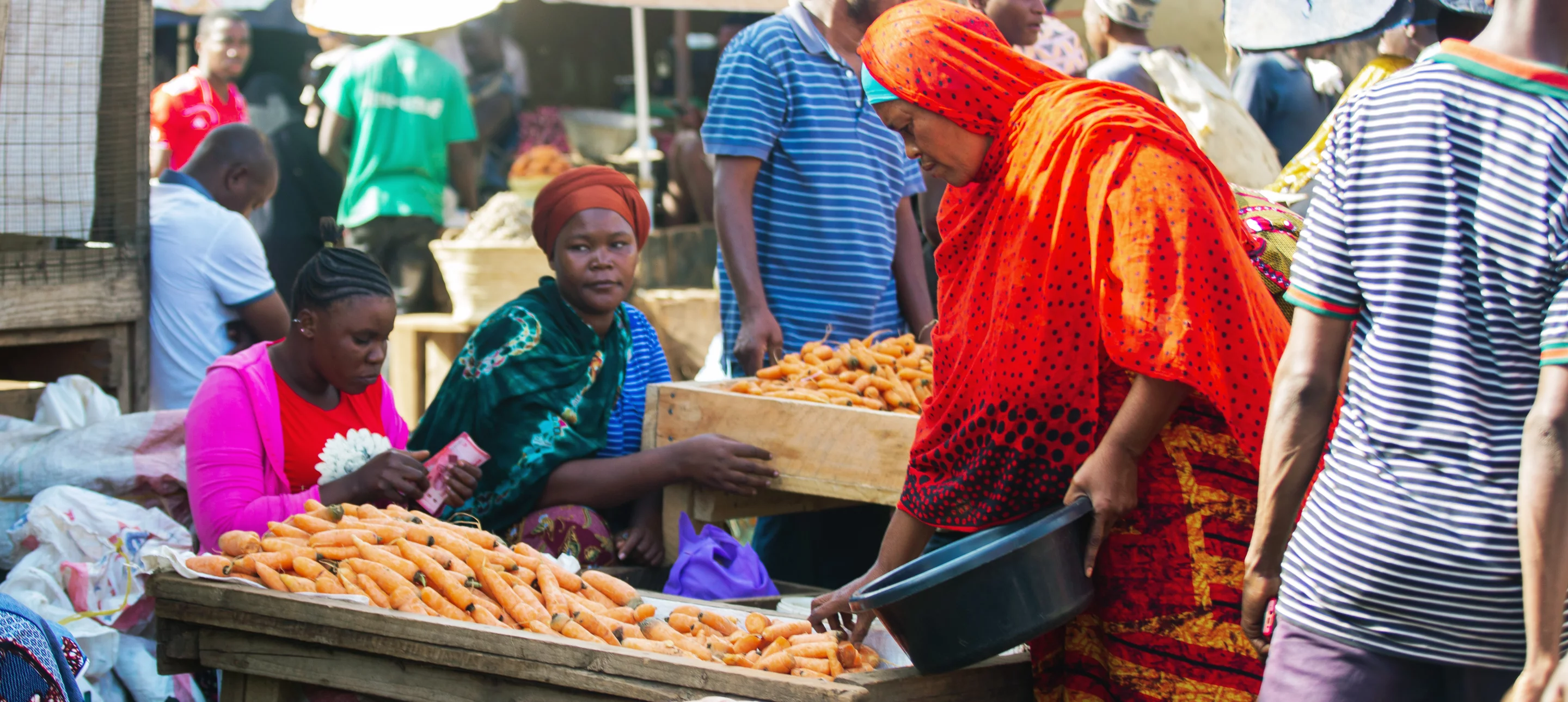 Cours d'introduction à l'approche du développement des systèmes (DSM)